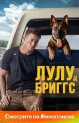 Постер к сериалу Лулу и Бриггс