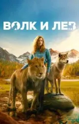 Постер к сериалу Волк и лев