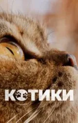 Постер к сериалу Котики