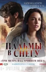 Постер к сериалу Пальмы в снегу