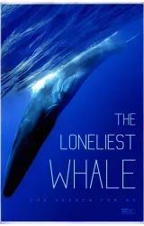 Постер к сериалу Самый одинокий кит на планете: в поисках Пятидесятидвухгерцового кита