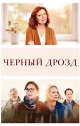 Постер к сериалу Чёрный дрозд