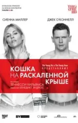 Постер к сериалу Кошка на раскалённой крыше