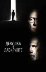 Постер к сериалу Девушка в лабиринте