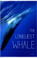 Постер к Самый одинокий кит на планете: в поисках Пятидесятидвухгерцового кита